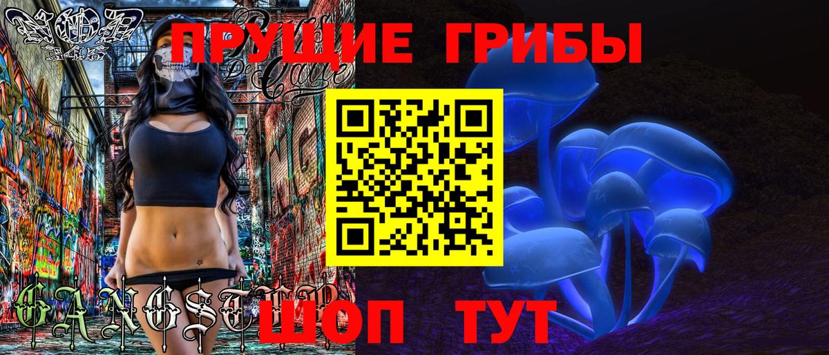 Галлюциногенные грибы Cubensis  купить закладку  Ачхой-Мартан 