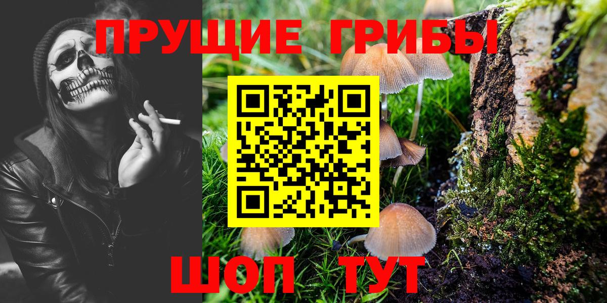 Ачхой-Мартан  Псилоцибиновые грибы мицелий  где найти   Вход с VPN 