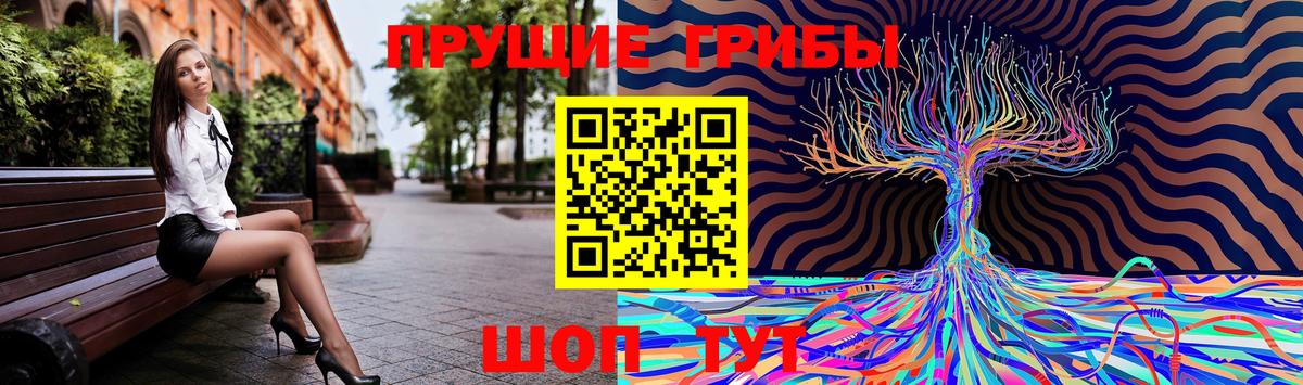 Псилоцибиновые грибы мицелий Ачхой-Мартан