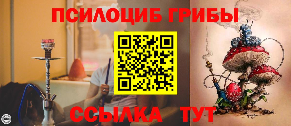 Галлюциногенные грибы прущие грибы Ачхой-Мартан
