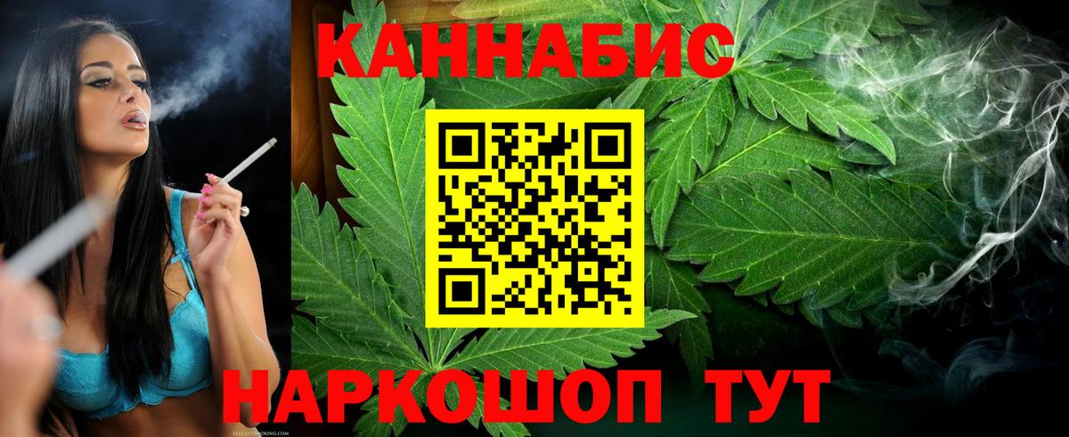 Бошки Шишки план Ачхой-Мартан